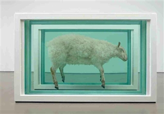 Away From the Flock (Divided) - Damien Hirst