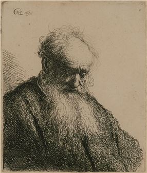 Bust of an Old Man with Flowing Beard - Rembrandt van Rijn